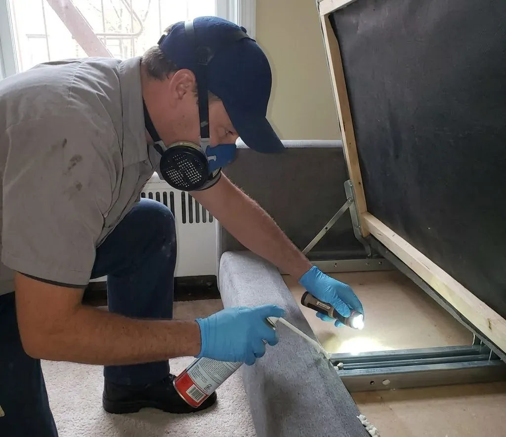 Bed Bug Treatment service in Fayetteville, NC